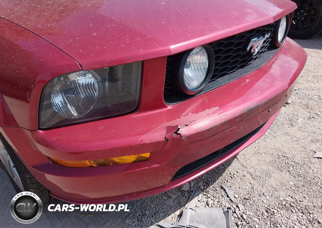 2006 Ford Mustang Gt VIN:1ZVFT85H665128119 - 18