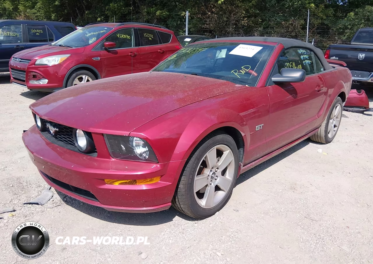2006 Ford Mustang Gt VIN:1ZVFT85H665128119 - 2