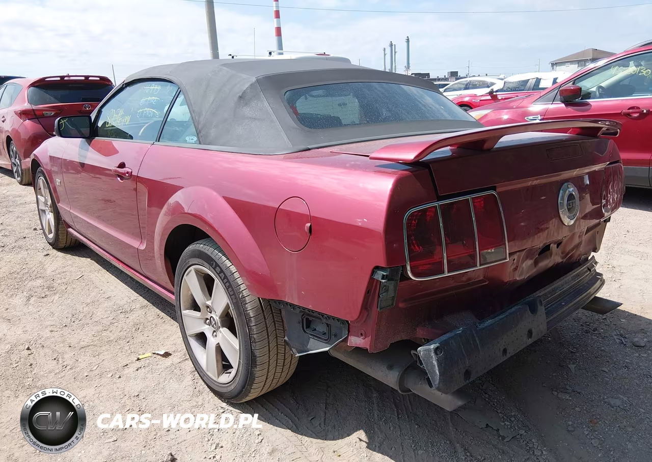2006 Ford Mustang Gt VIN:1ZVFT85H665128119 - 3