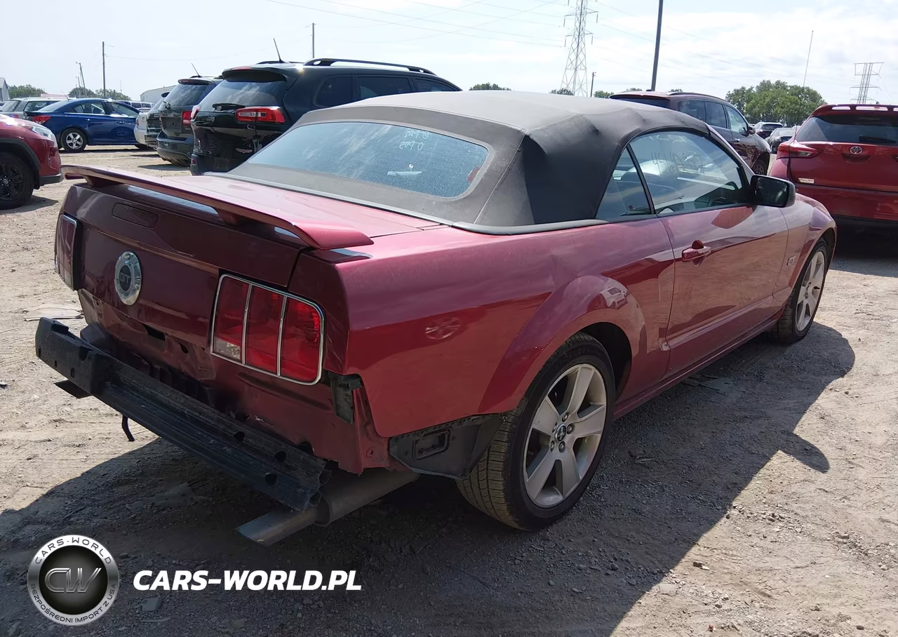 2006 Ford Mustang Gt VIN:1ZVFT85H665128119 - 4