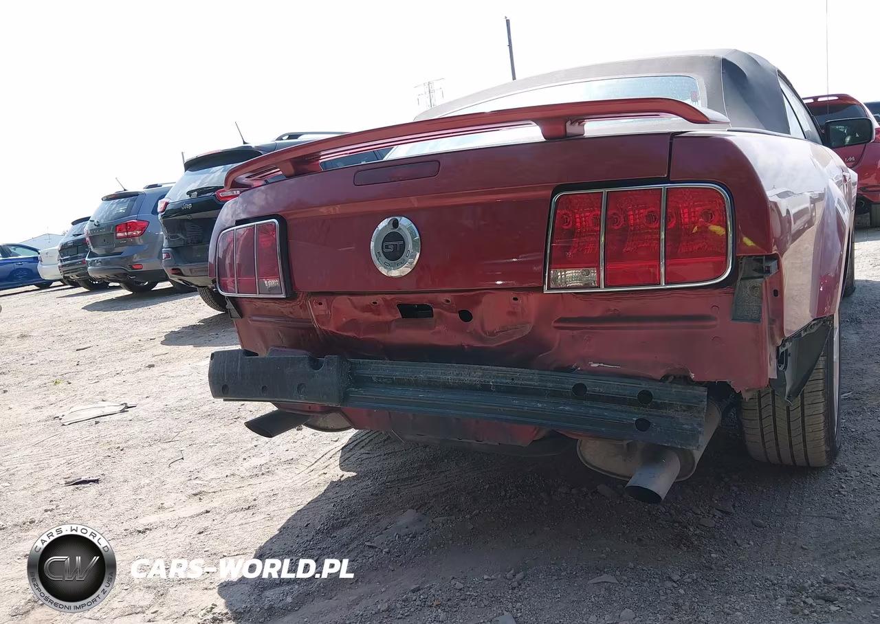 2006 Ford Mustang Gt VIN:1ZVFT85H665128119 - 6
