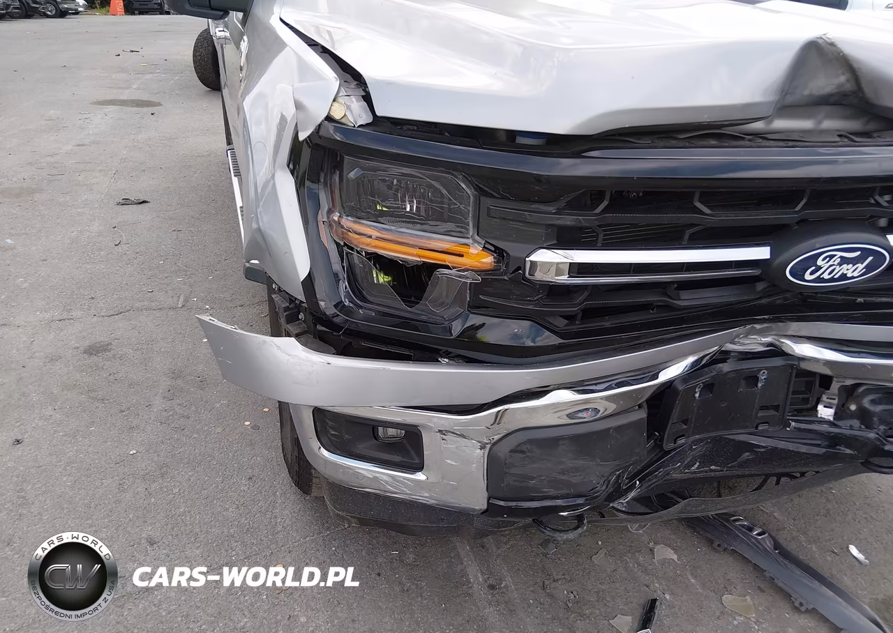 2025 Ford F-150 Xlt VIN:1FTFW3L53SKE55790 - 19
