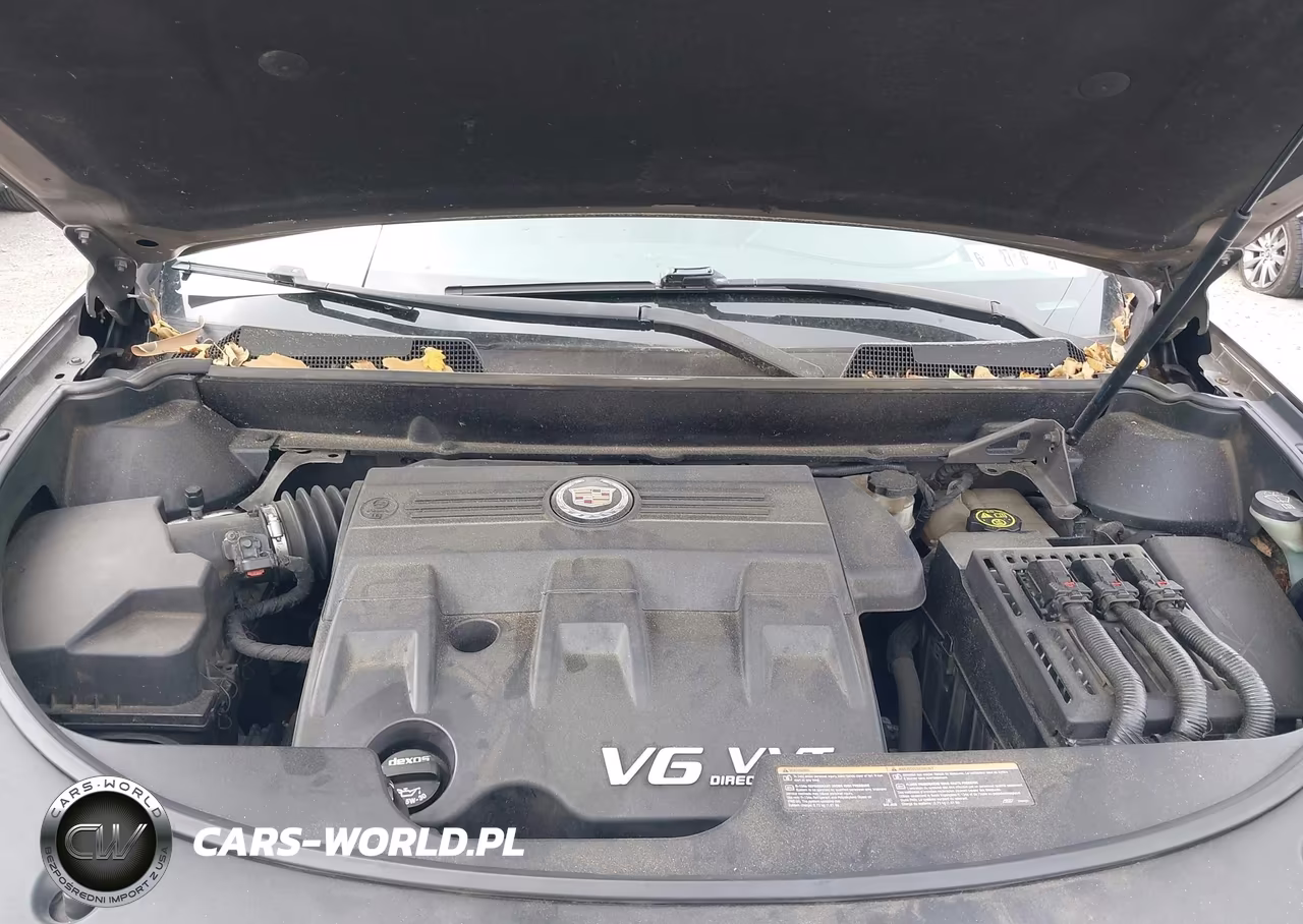 2014 Cadillac Srx Luxury Collection VIN:3GYFNEE32ES549690 - 10