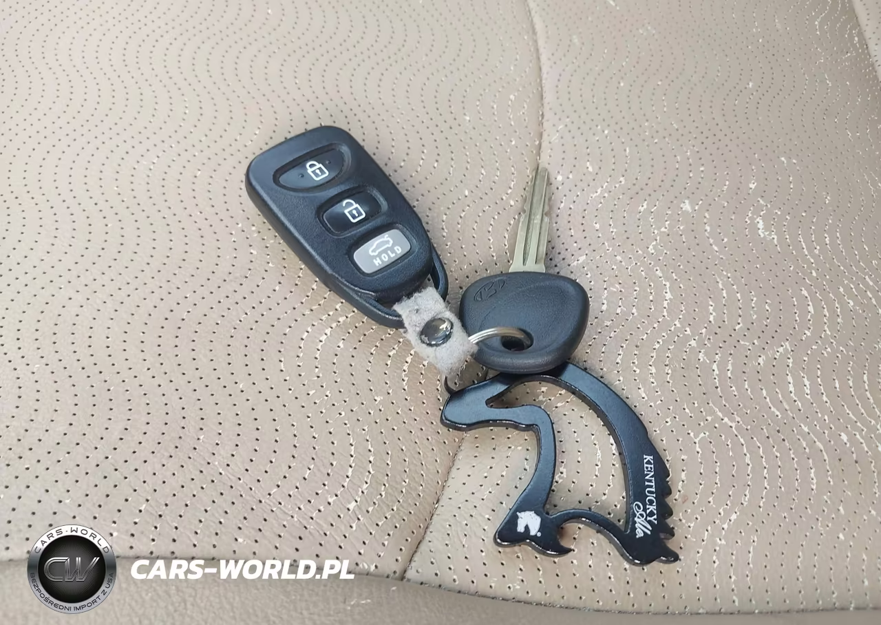 2012 Hyundai Elantra Limited (Ulsan Plant) VIN:KMHDH4AE2CU243328 - 11