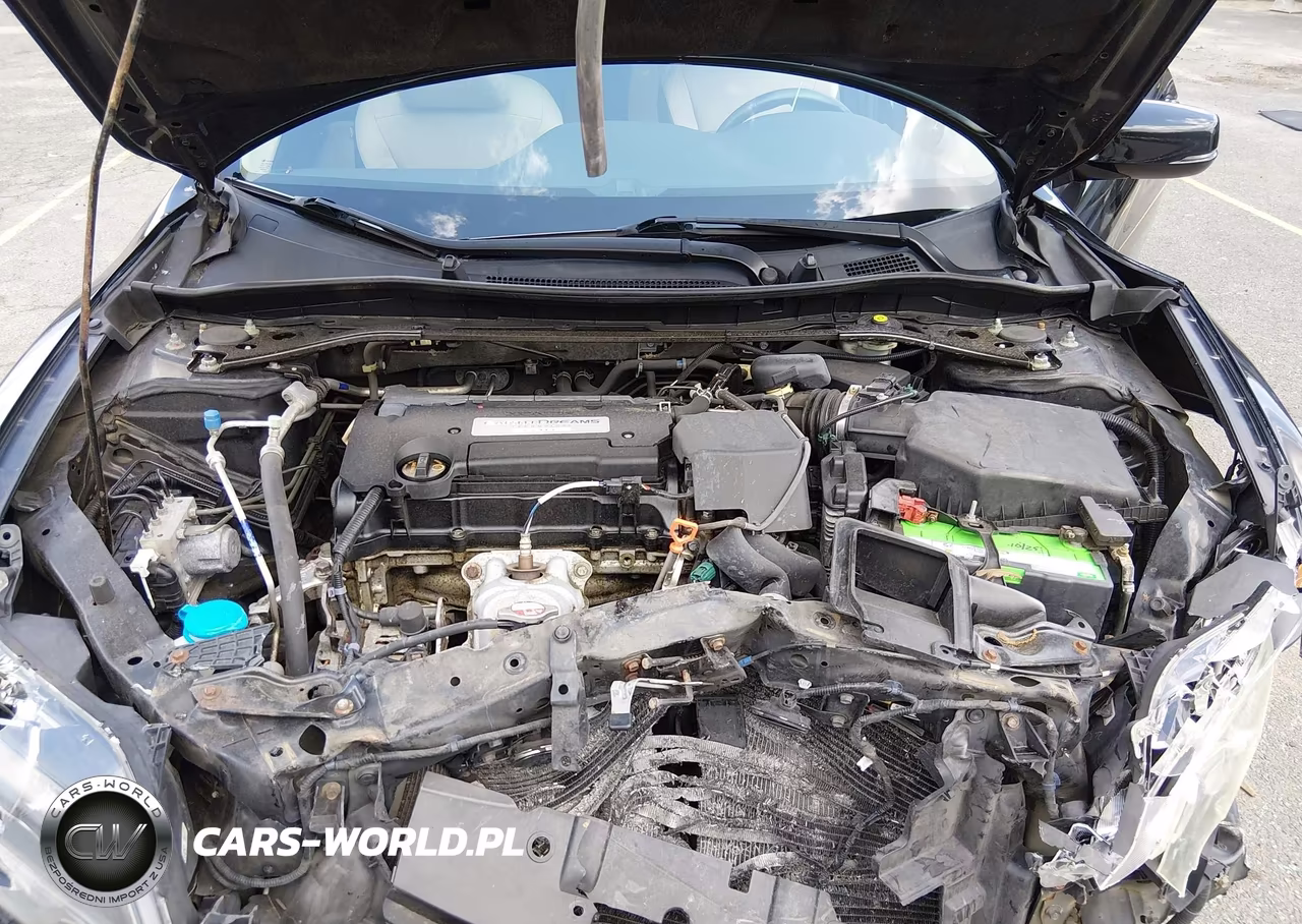 2014 Honda Accord Ex-L VIN:1HGCT1B8XEA004976 - 10