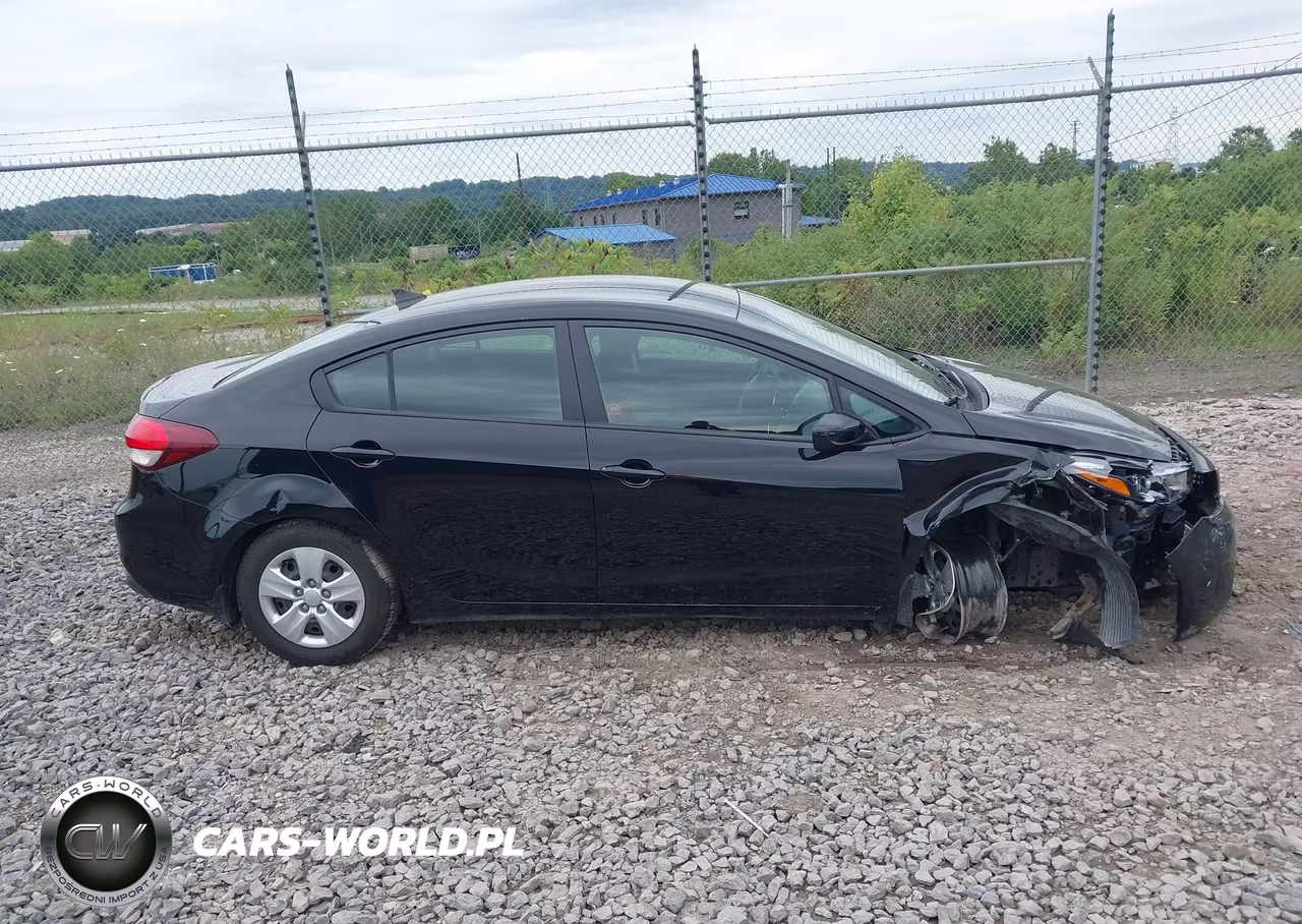 2017 Kia Forte Lx VIN:3KPFK4A70HE099882 - 13