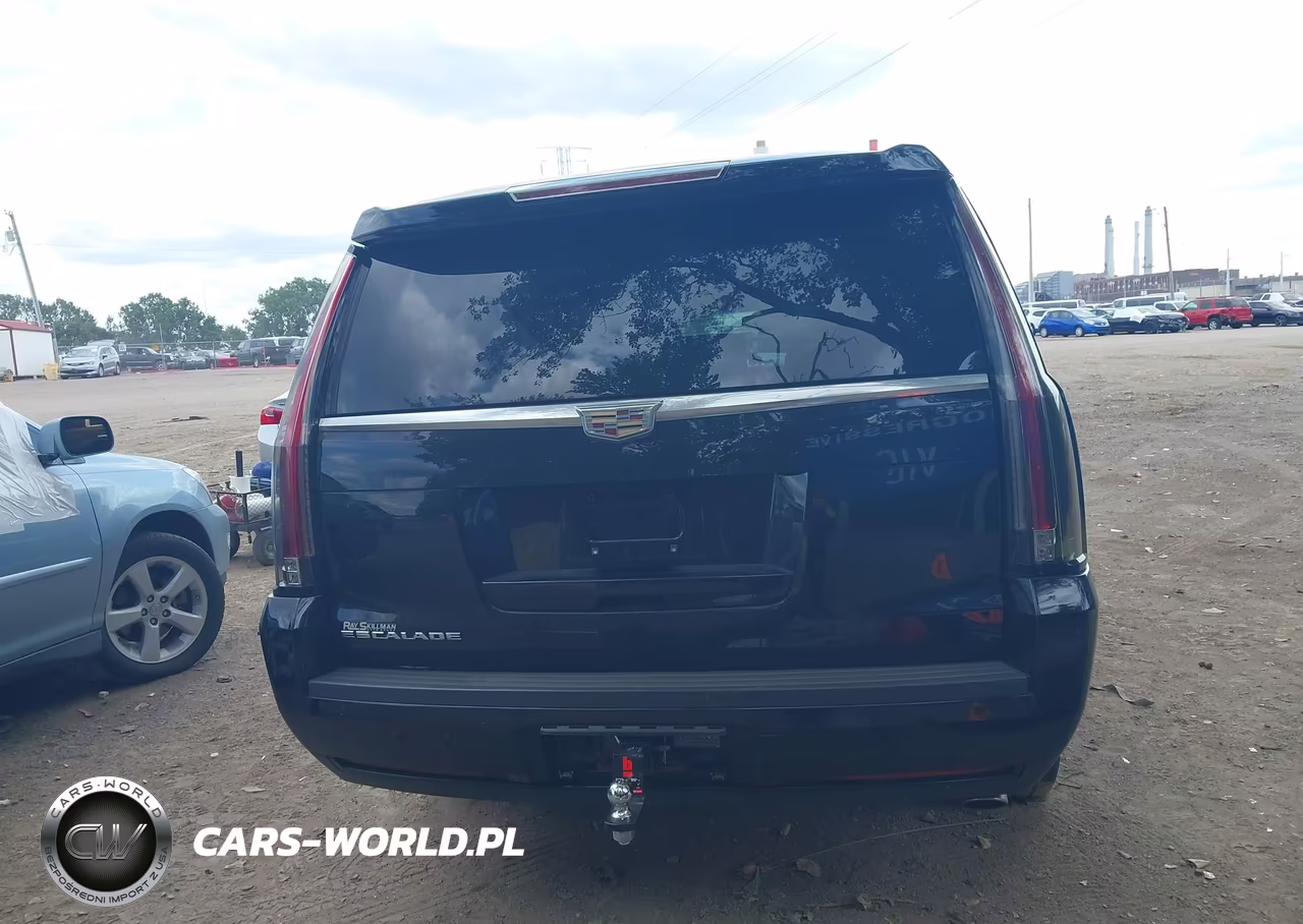 2015 Cadillac Escalade Esv Luxury VIN:1GYS4SKJ5FR586160 - 16