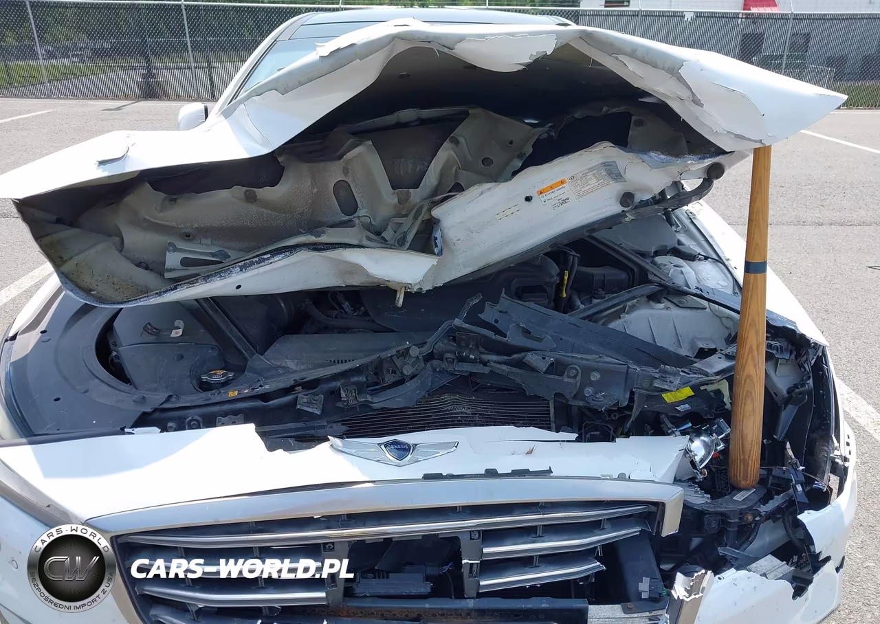 2018 Genesis G80 3.8 VIN:KMHGN4JE9JU227002 - 10