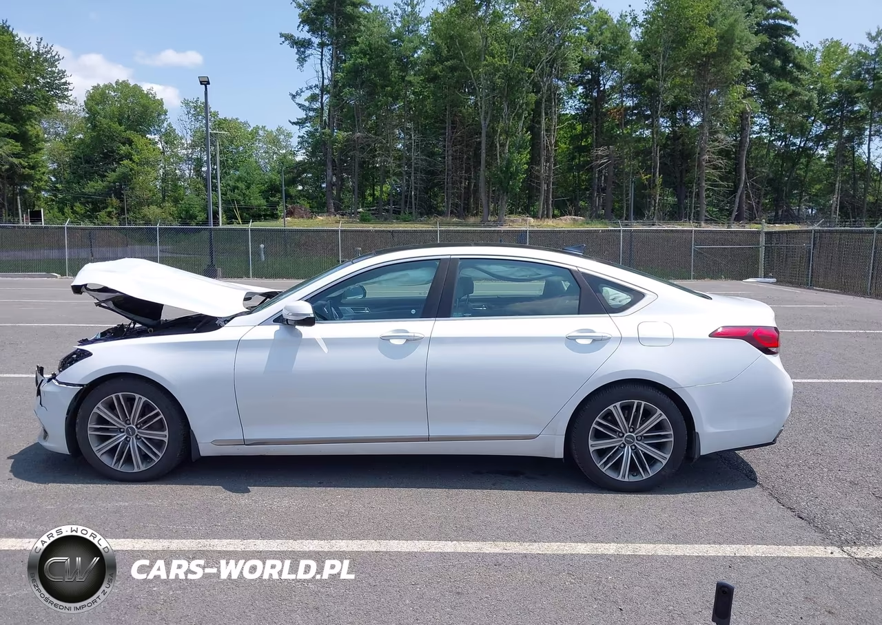 2018 Genesis G80 3.8 VIN:KMHGN4JE9JU227002 - 14