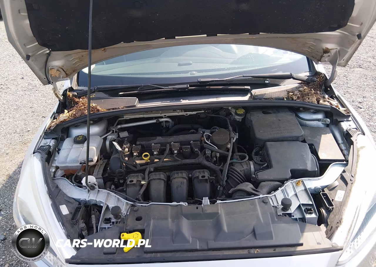 2015 Ford Focus Se VIN:1FADP3F28FL344731 - 10