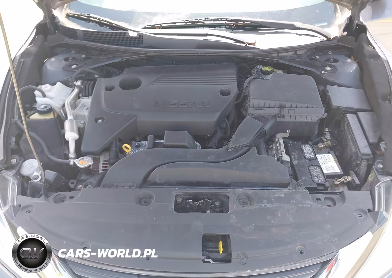 NISSAN ALTIMA VIN:1N4AL3APXGC246190 - 10
