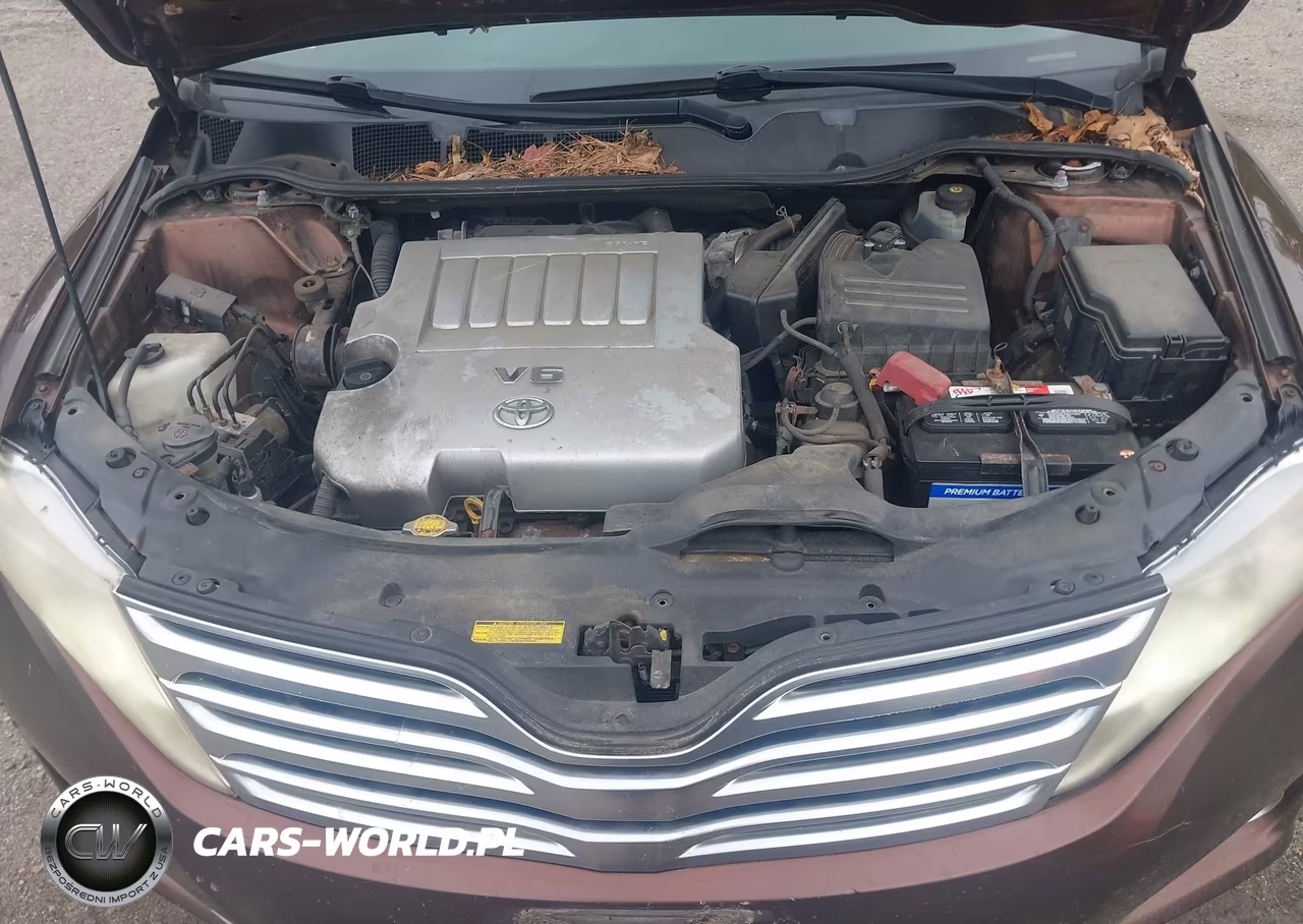 2009 Toyota Venza Base V6 VIN:4T3BK11A59U019247 - 10