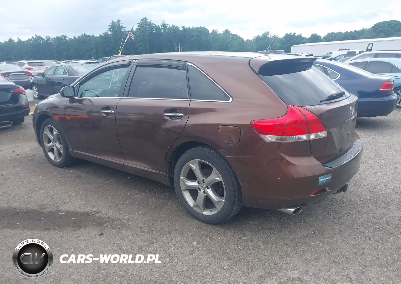 2009 Toyota Venza Base V6 VIN:4T3BK11A59U019247 - 3