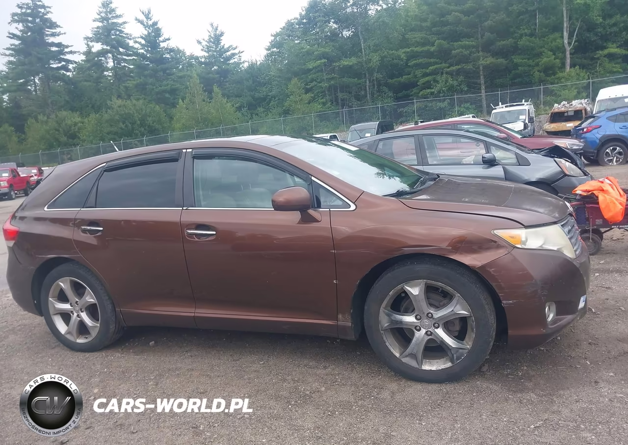 2009 Toyota Venza Base V6 VIN:4T3BK11A59U019247 - 6