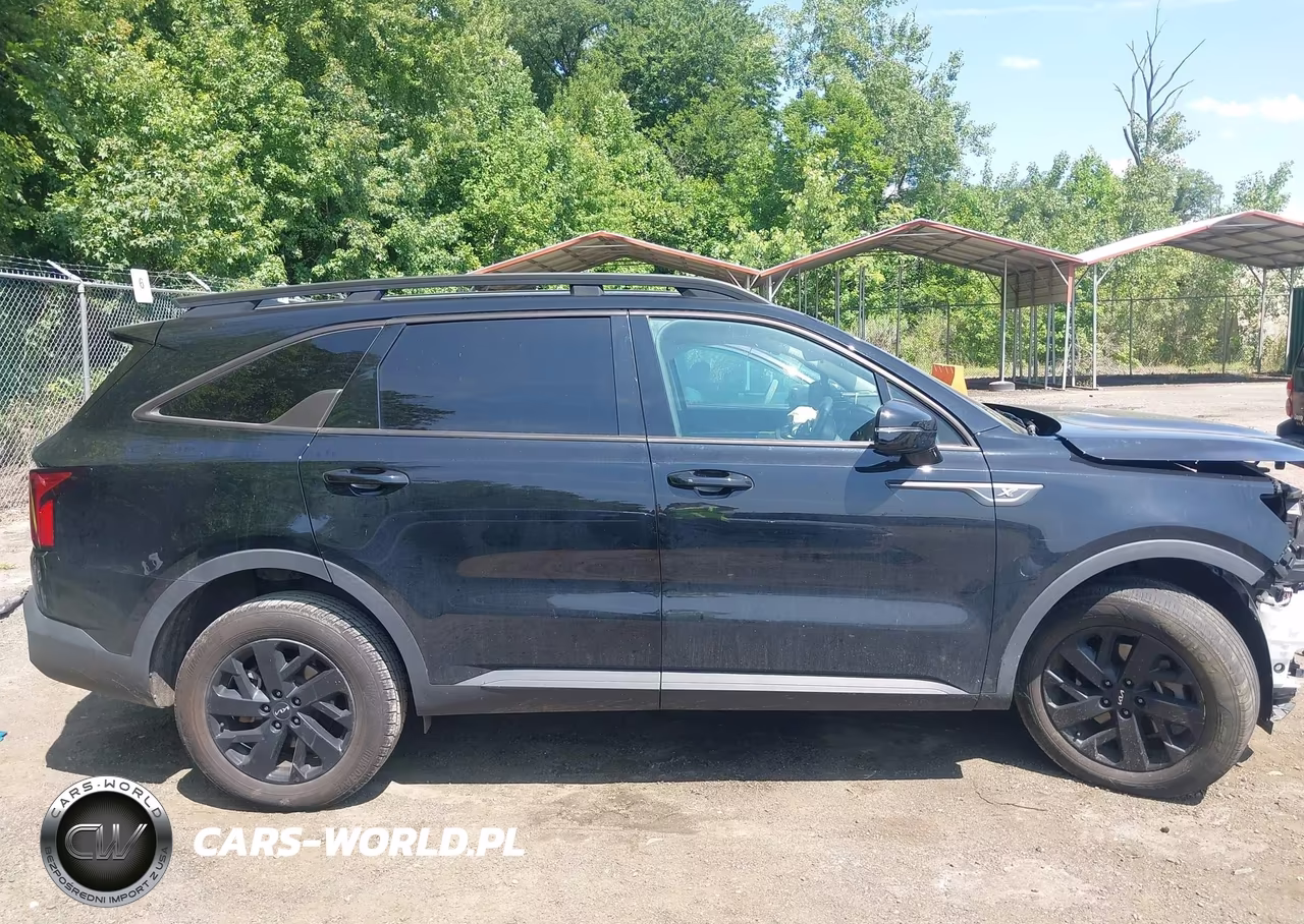 2023 Kia Sorento X-Line S VIN:5XYRLDLCXPG184539 - 13