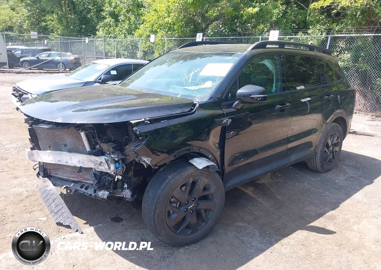 2023 Kia Sorento X-Line S VIN:5XYRLDLCXPG184539 - 2