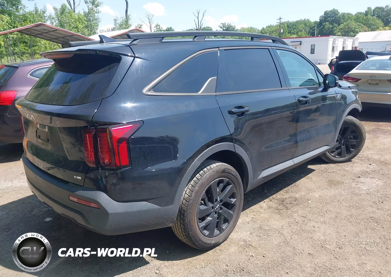 2023 Kia Sorento X-Line S VIN:5XYRLDLCXPG184539 - 4