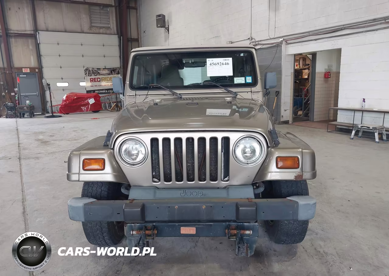2004 Jeep Wrangler Sahara VIN:1J4FA59S64P757582 - 12