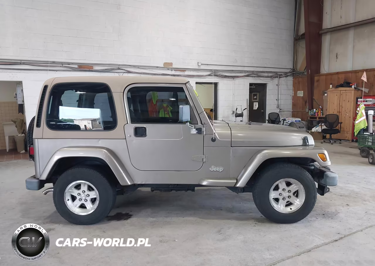 2004 Jeep Wrangler Sahara VIN:1J4FA59S64P757582 - 13