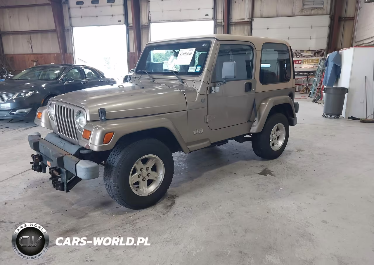 2004 Jeep Wrangler Sahara VIN:1J4FA59S64P757582 - 2