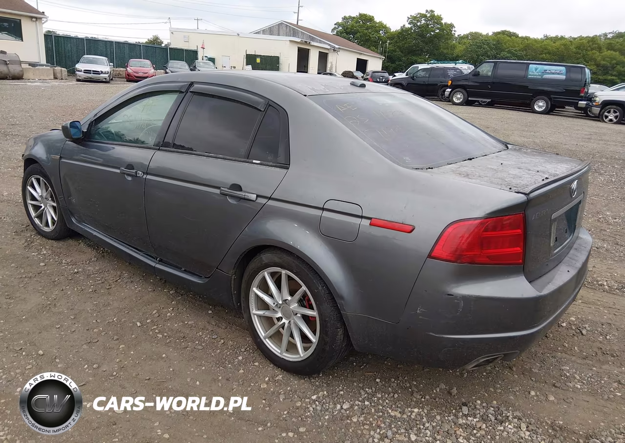 2004 Acura Tl VIN:19UUA66234A028418 - 3