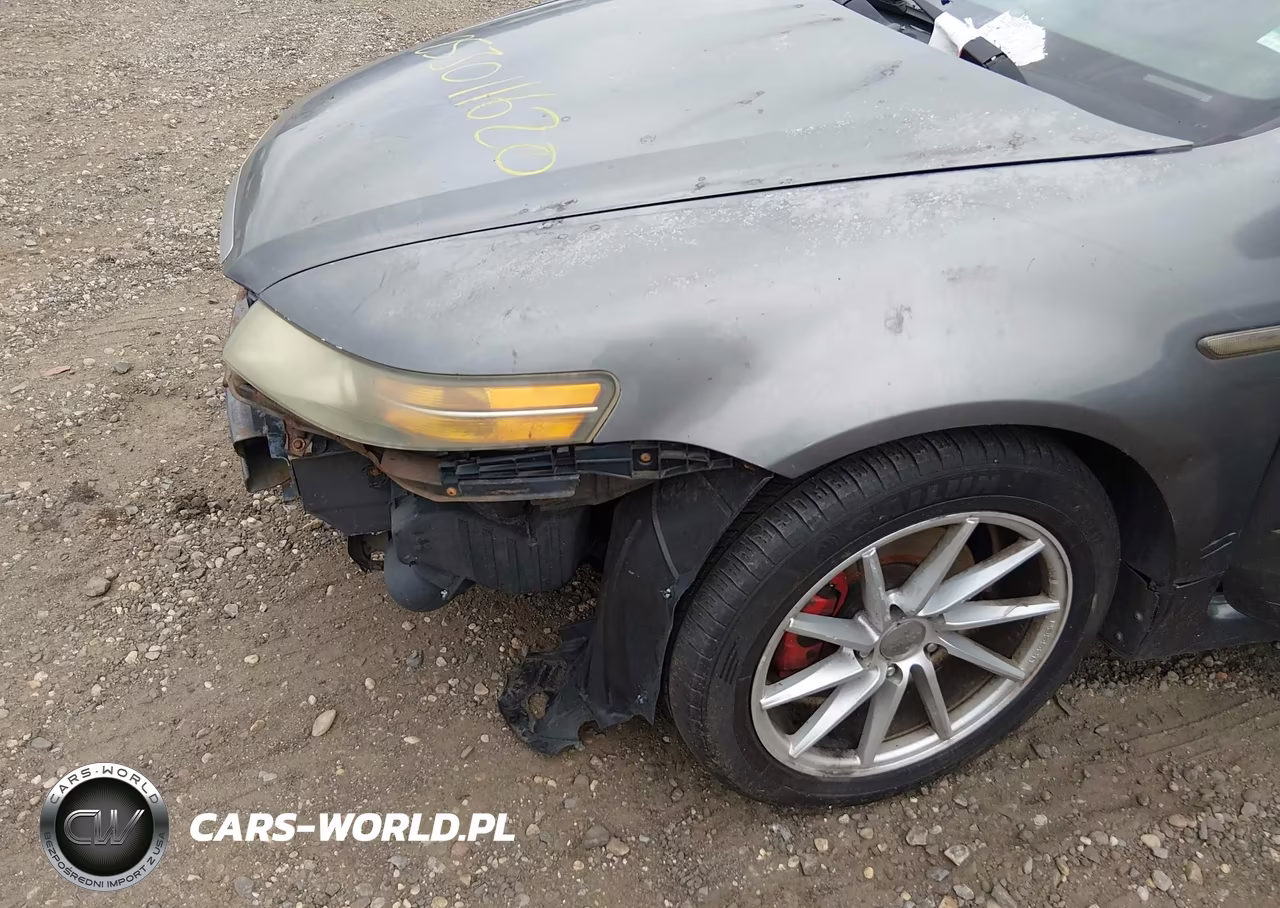 2004 Acura Tl VIN:19UUA66234A028418 - 6