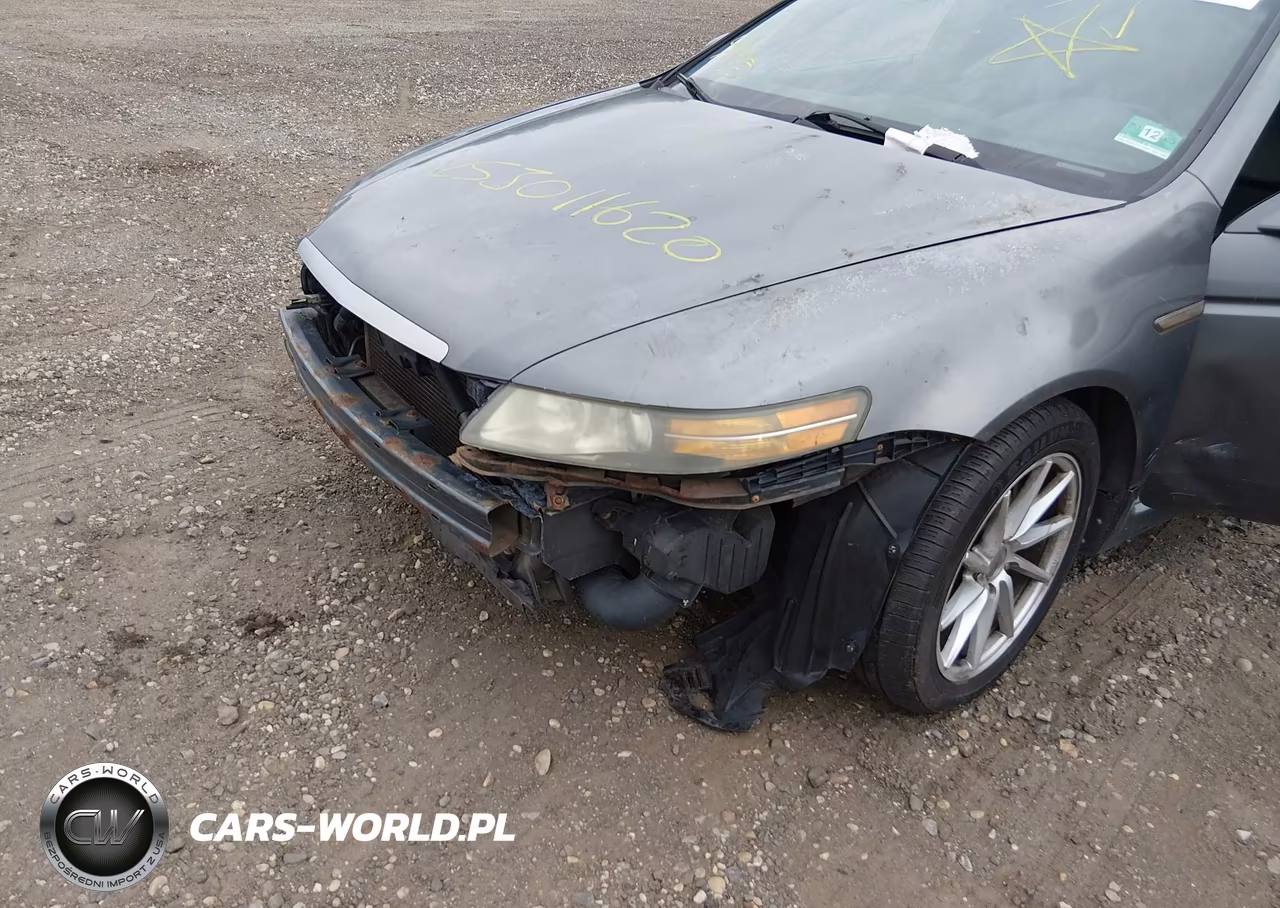 2004 Acura Tl VIN:19UUA66234A028418 - 7
