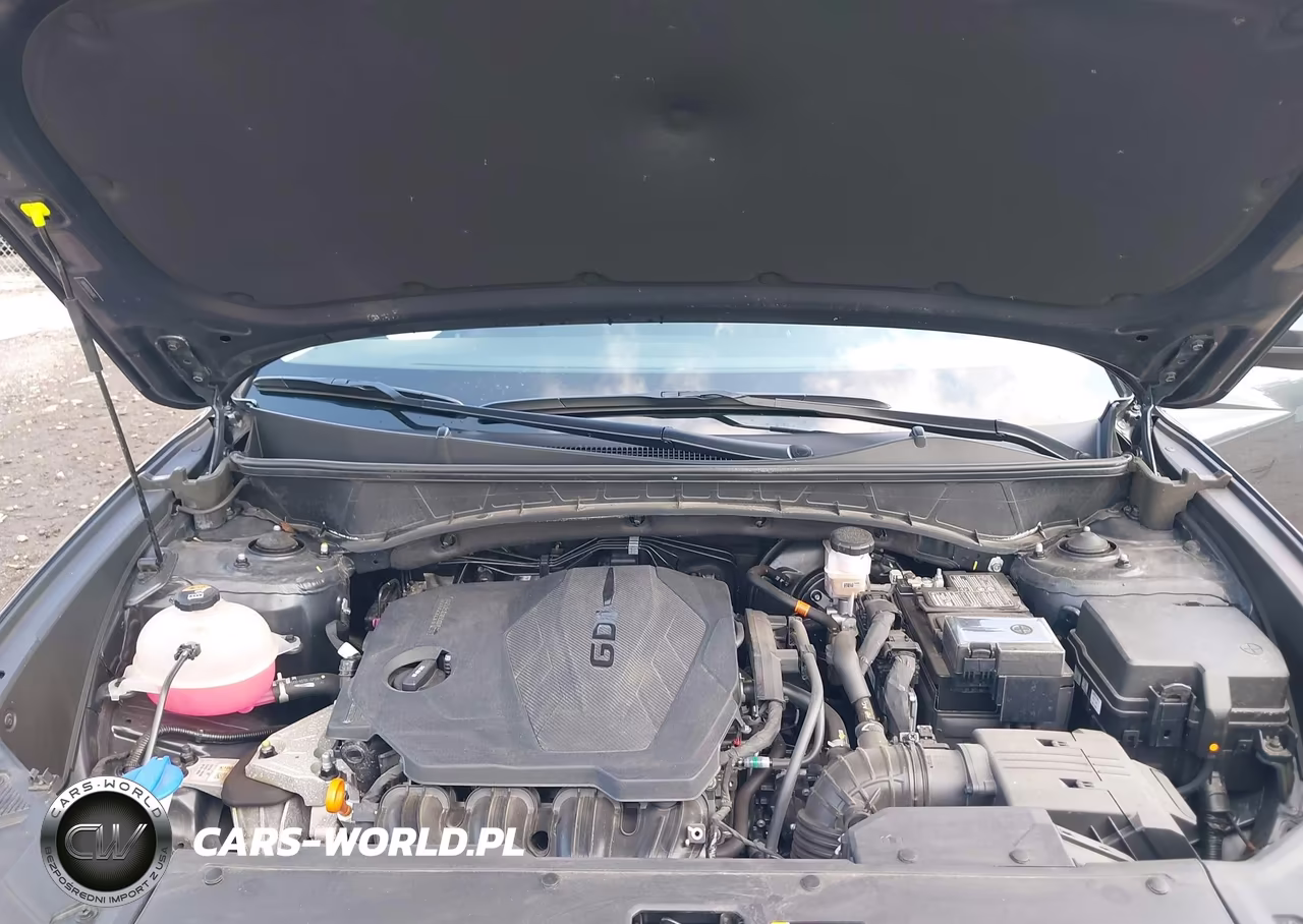 2024 Hyundai Tucson Sel VIN:5NMJB3DE1RH310872 - 10