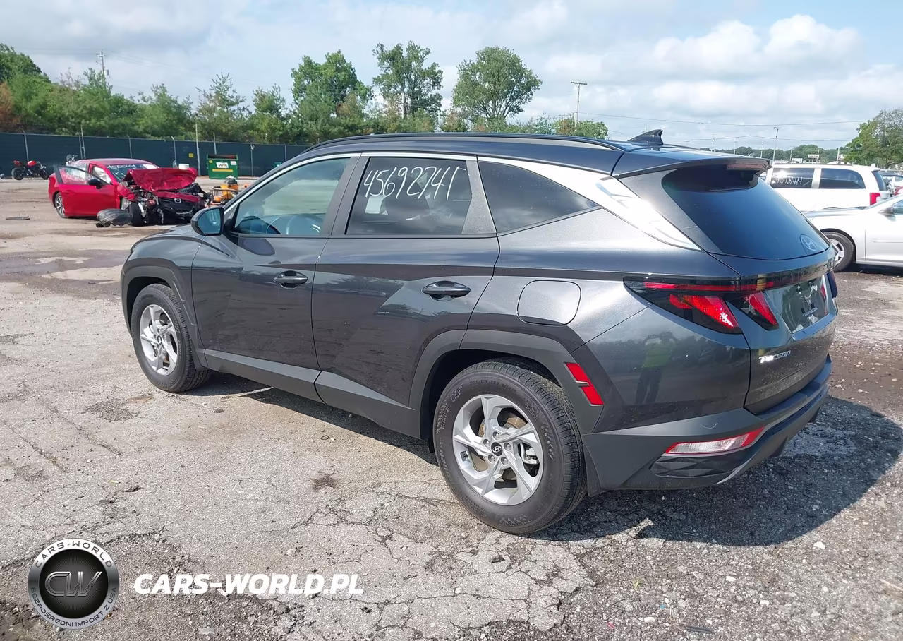 2024 Hyundai Tucson Sel VIN:5NMJB3DE1RH310872 - 3