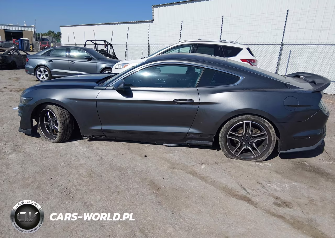 2016 Ford Mustang Ecoboost VIN:1FA6P8TH1G5274266 - 14