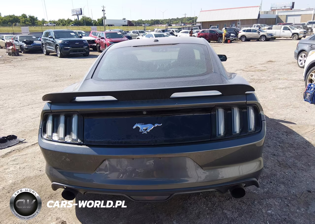 2016 Ford Mustang Ecoboost VIN:1FA6P8TH1G5274266 - 16