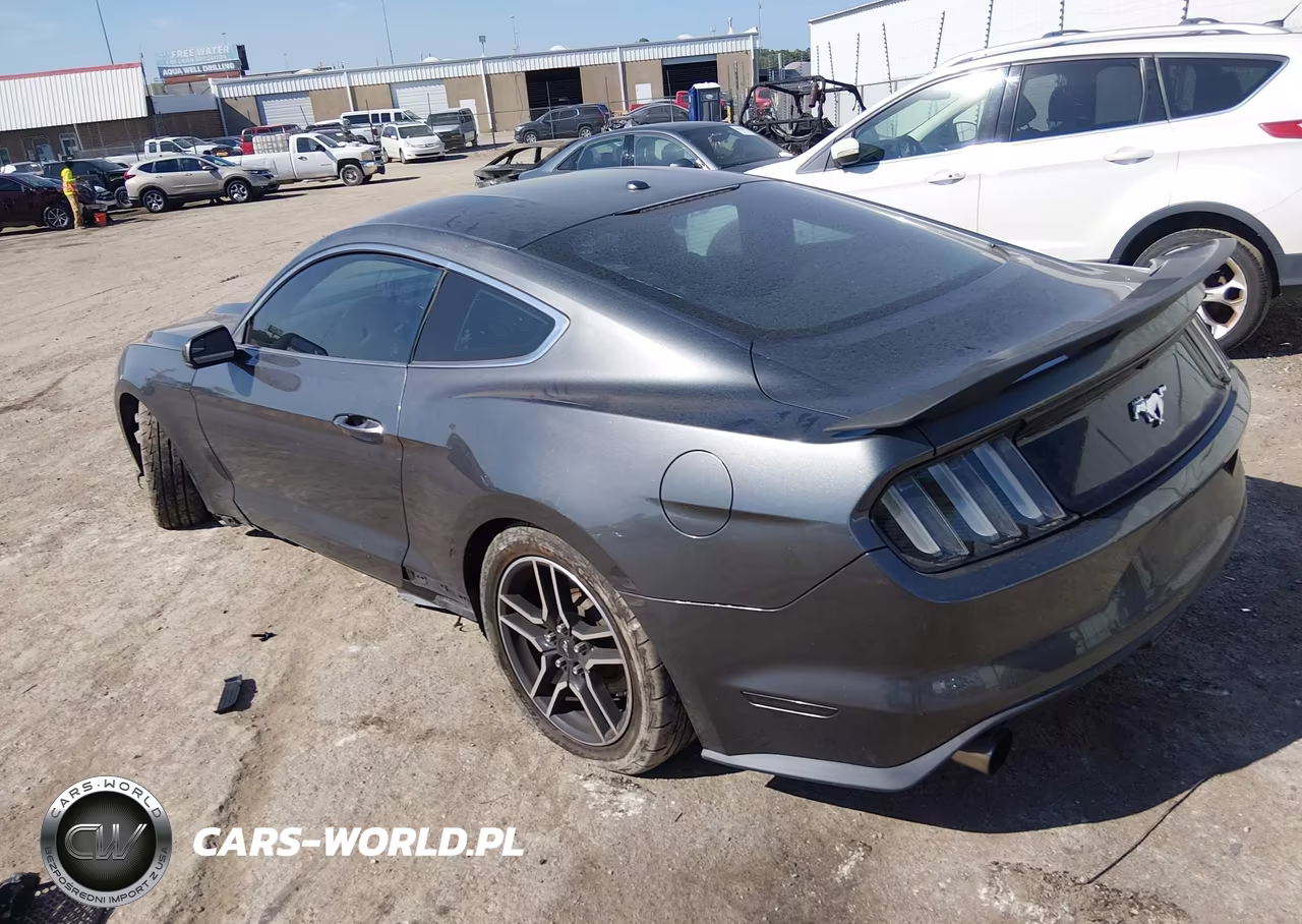 2016 Ford Mustang Ecoboost VIN:1FA6P8TH1G5274266 - 3