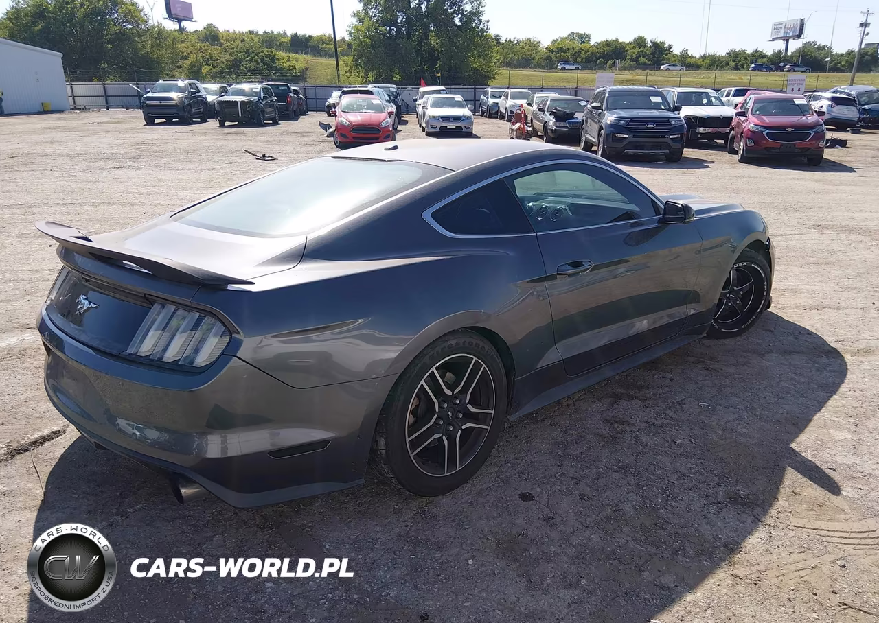 2016 Ford Mustang Ecoboost VIN:1FA6P8TH1G5274266 - 4