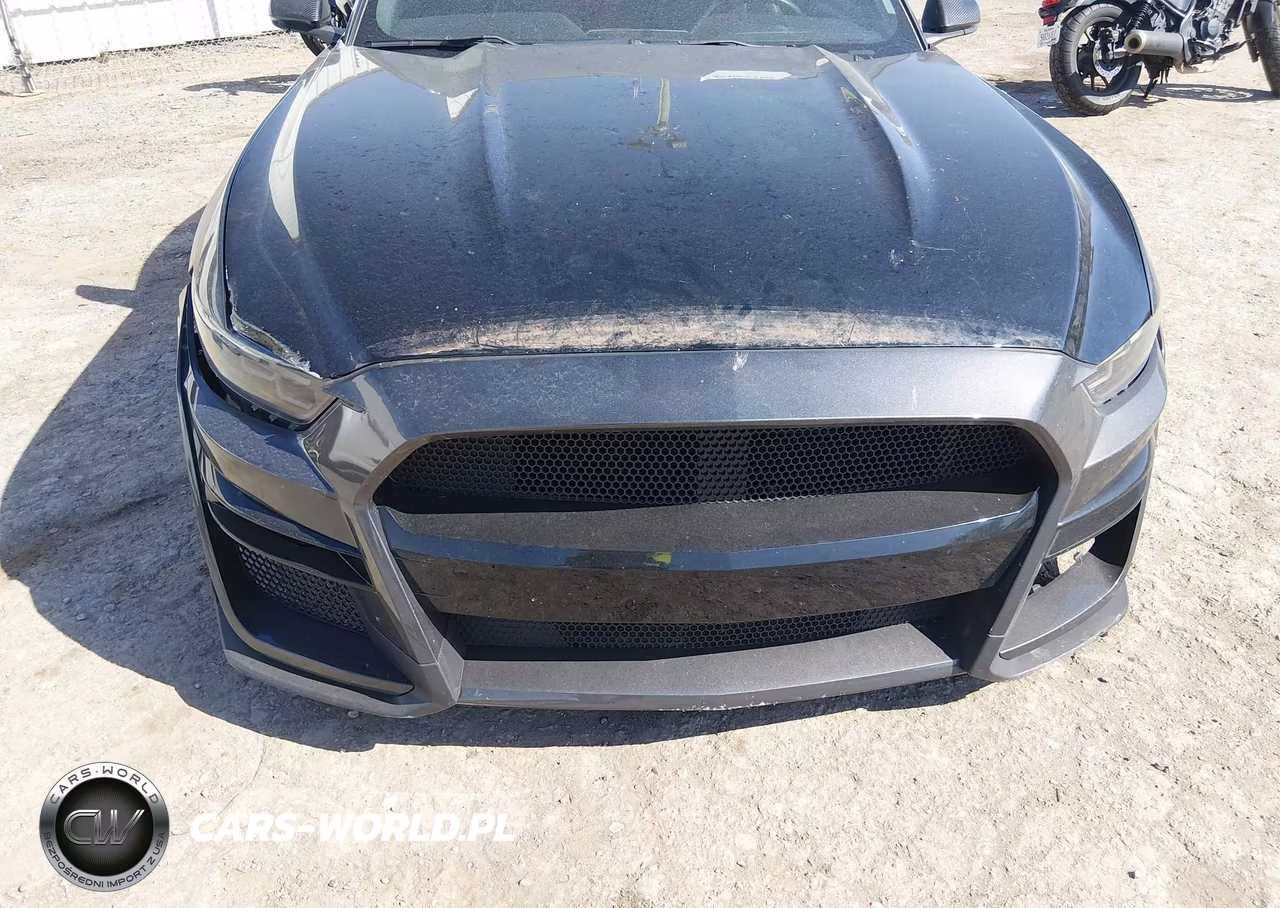 2016 Ford Mustang Ecoboost VIN:1FA6P8TH1G5274266 - 6
