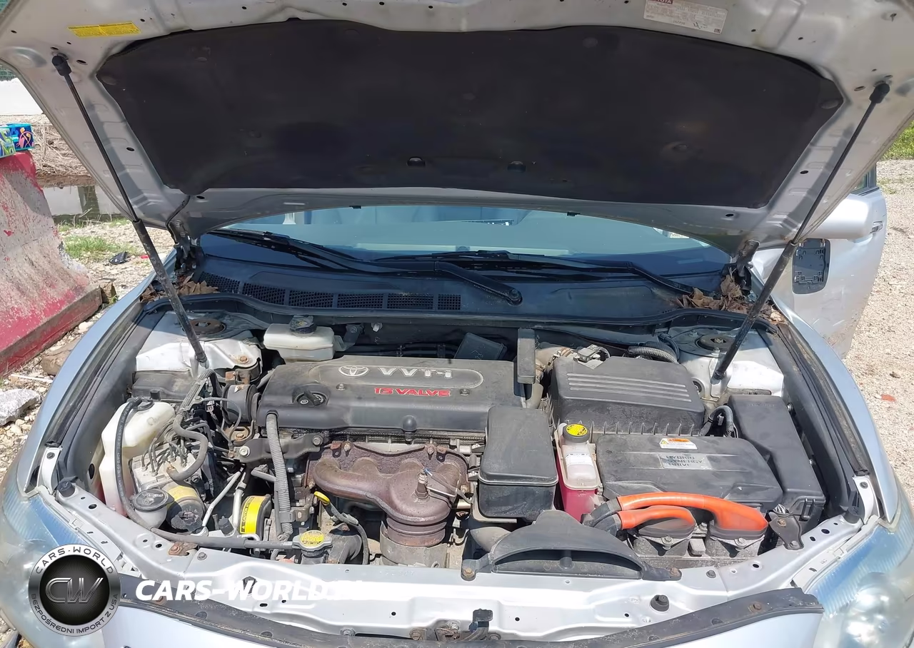 2010 Toyota Camry Hybrid VIN:4T1BB3EK2AU116319 - 10