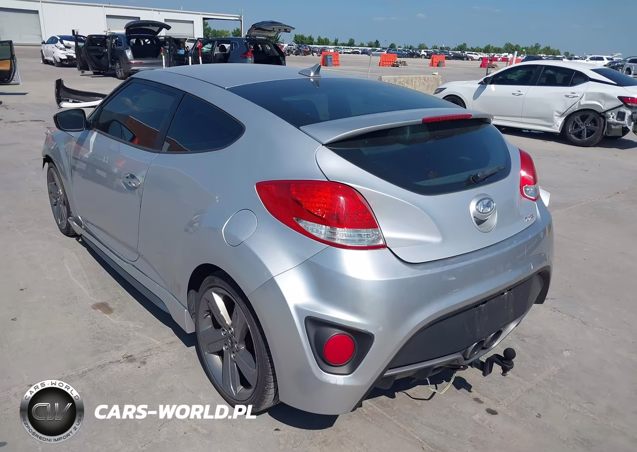 2013 Hyundai Veloster Turbo W-Black VIN:KMHTC6AE9DU154508 - 3