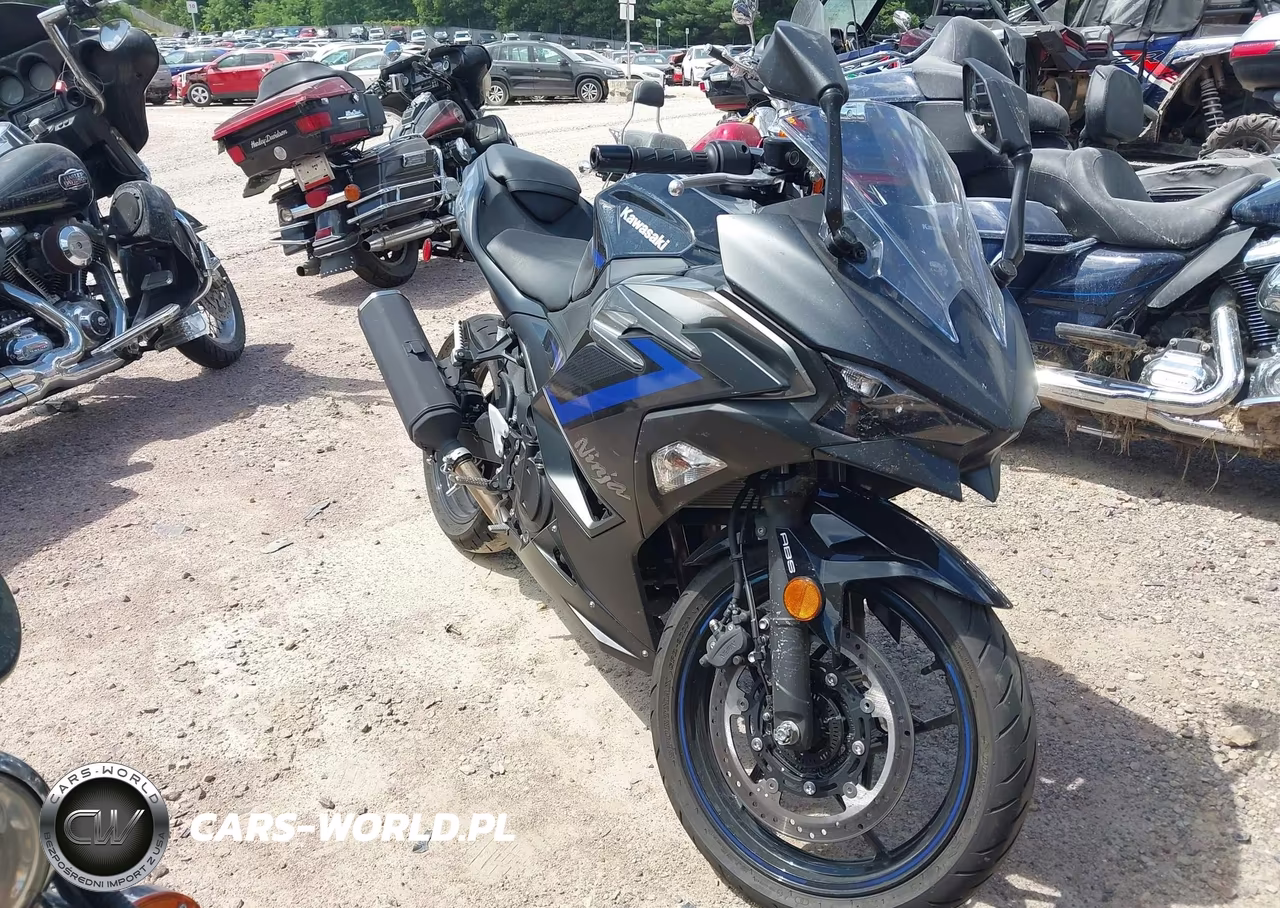 2025 Kawasaki Ex500 – zdjęcie 1 z 17
