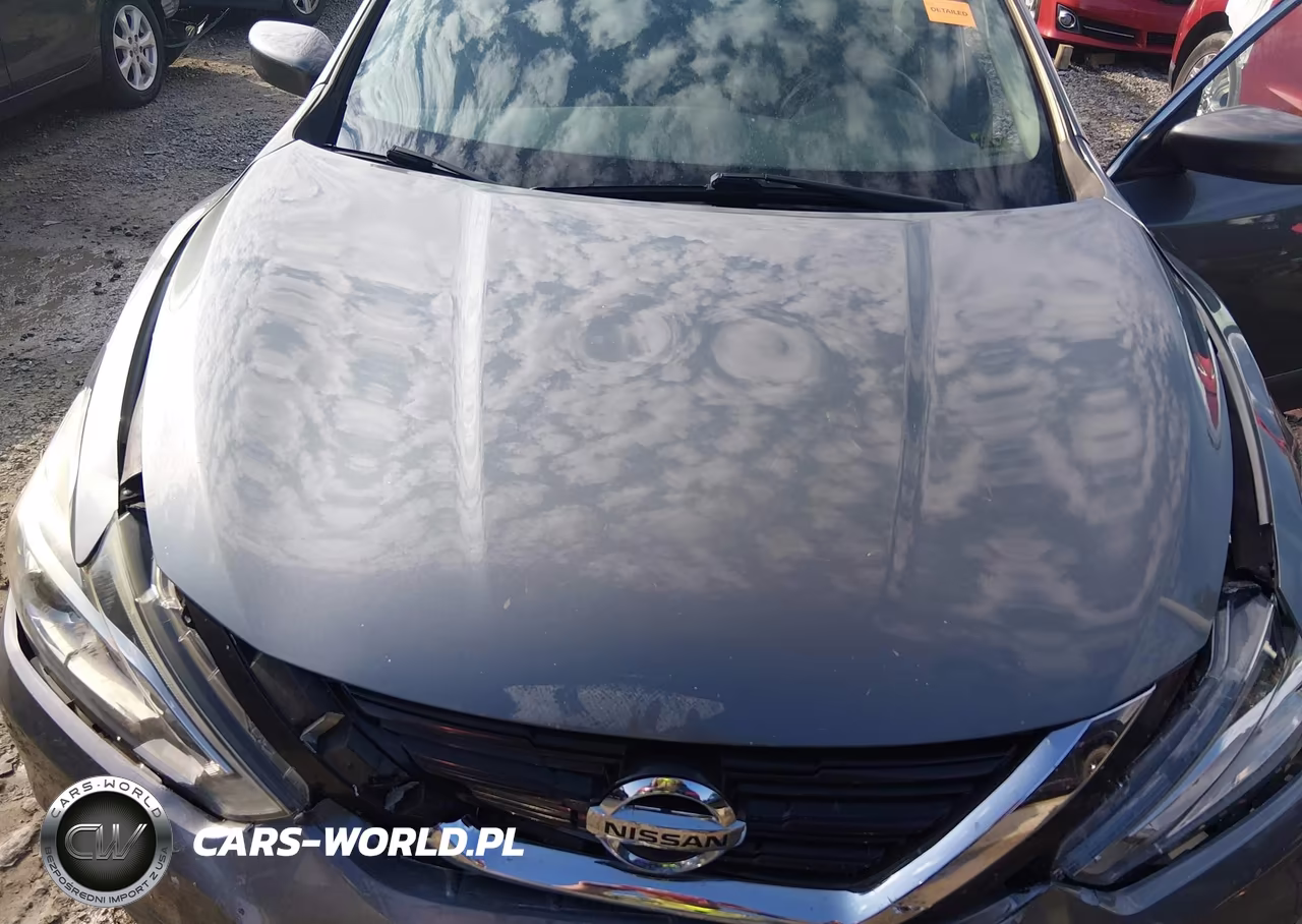 2016 Nissan Altima 2.5 S VIN:1N4AL3AP3GN343008 - 10
