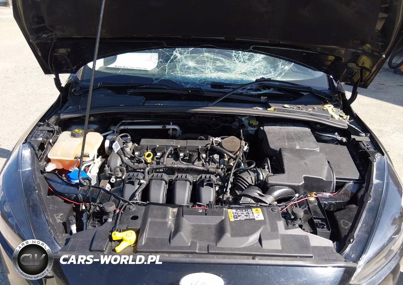 2016 Ford Focus S VIN:1FADP3E20GL210248 - 10