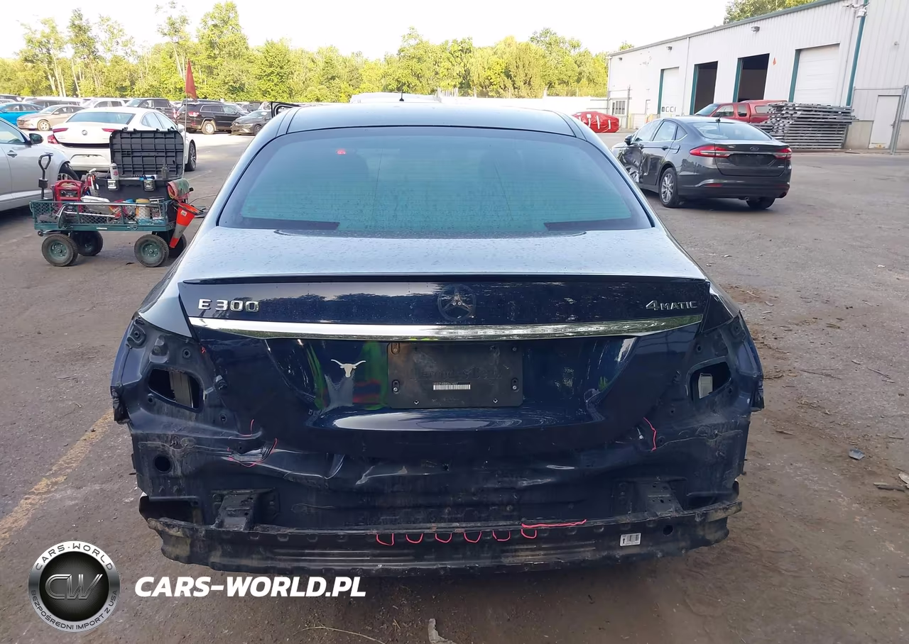 2019 Mercedes-Benz E 300 4Matic VIN:WDDZF4KBXKA674557 - 17