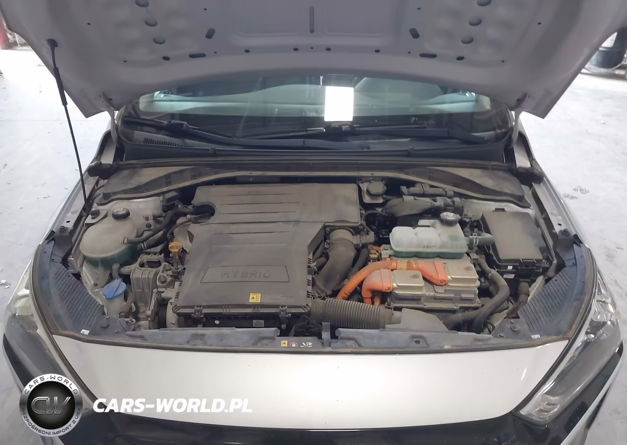 2019 Hyundai Ioniq Hybrid Blue VIN:KMHC65LC1KU106804 - 10
