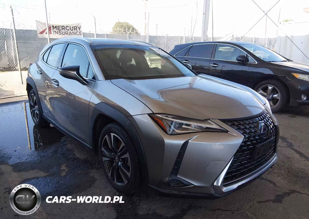 2019 Lexus Ux 250H