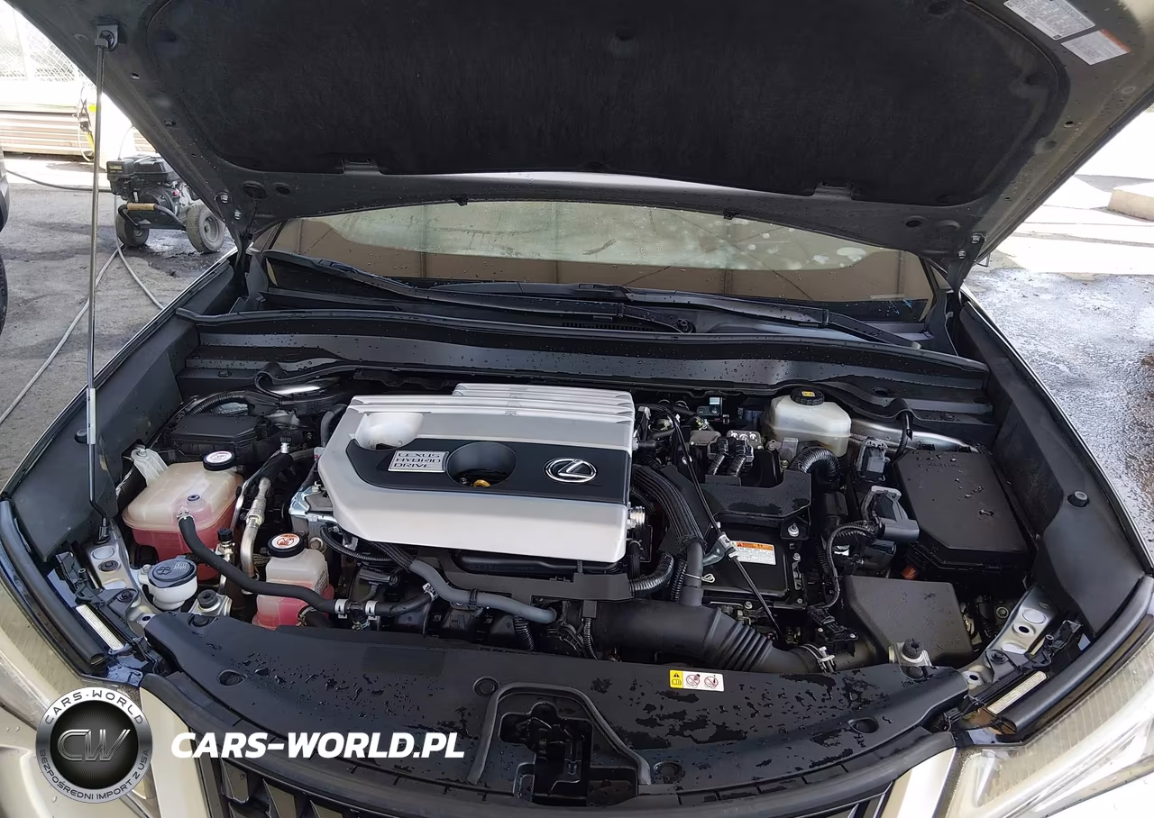 2019 Lexus Ux 250H VIN:JTHU9JBH1K2004029 - 10