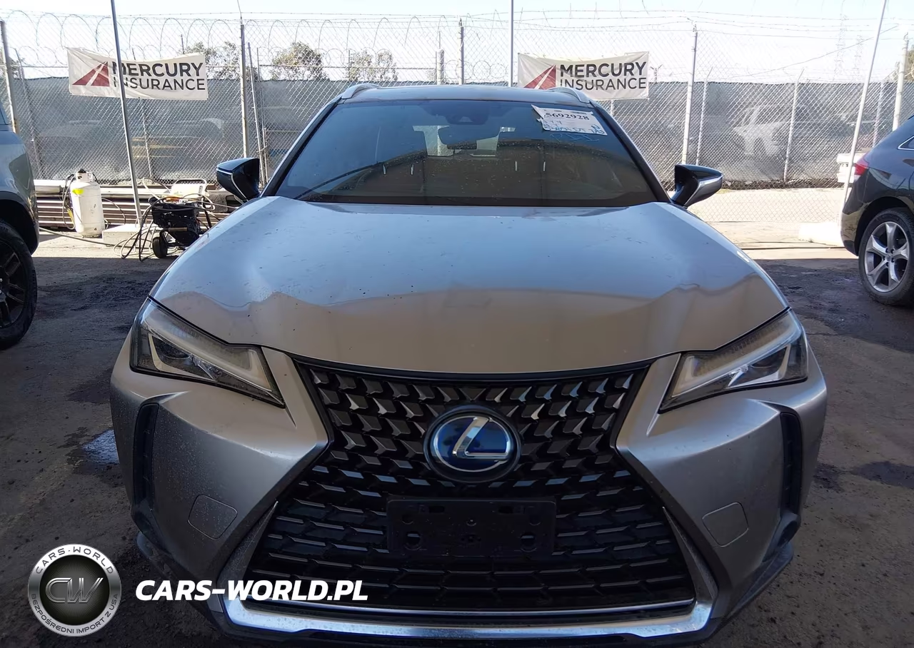2019 Lexus Ux 250H VIN:JTHU9JBH1K2004029 - 12