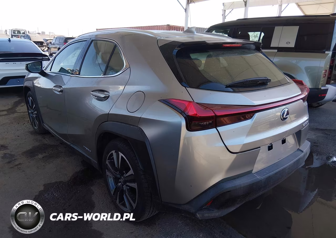 2019 Lexus Ux 250H VIN:JTHU9JBH1K2004029 - 3