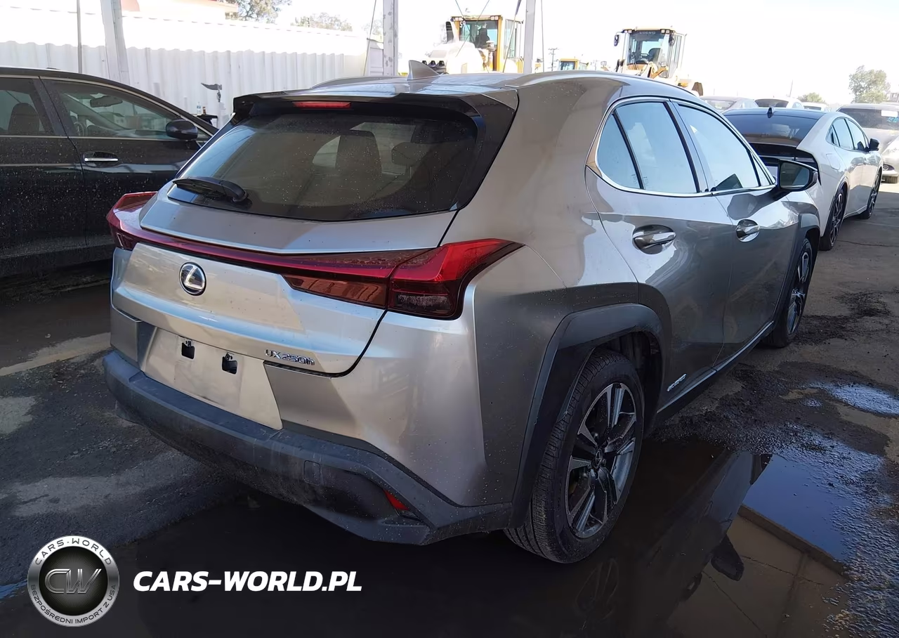 2019 Lexus Ux 250H VIN:JTHU9JBH1K2004029 - 4