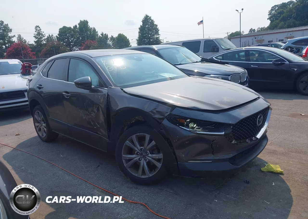 2020 Mazda Cx-30 Preferred Package VIN:3MVDMADL2LM136789 - 13