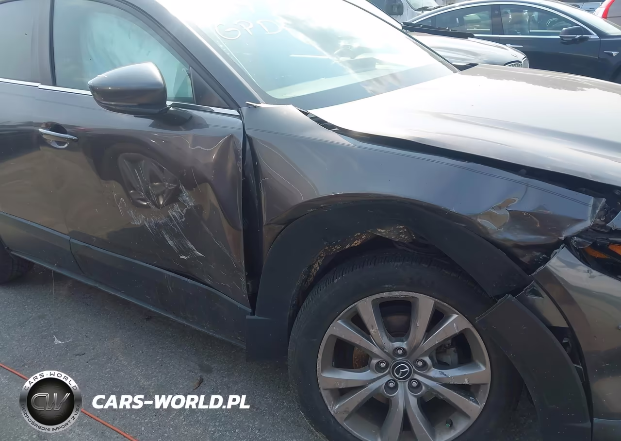 2020 Mazda Cx-30 Preferred Package VIN:3MVDMADL2LM136789 - 17