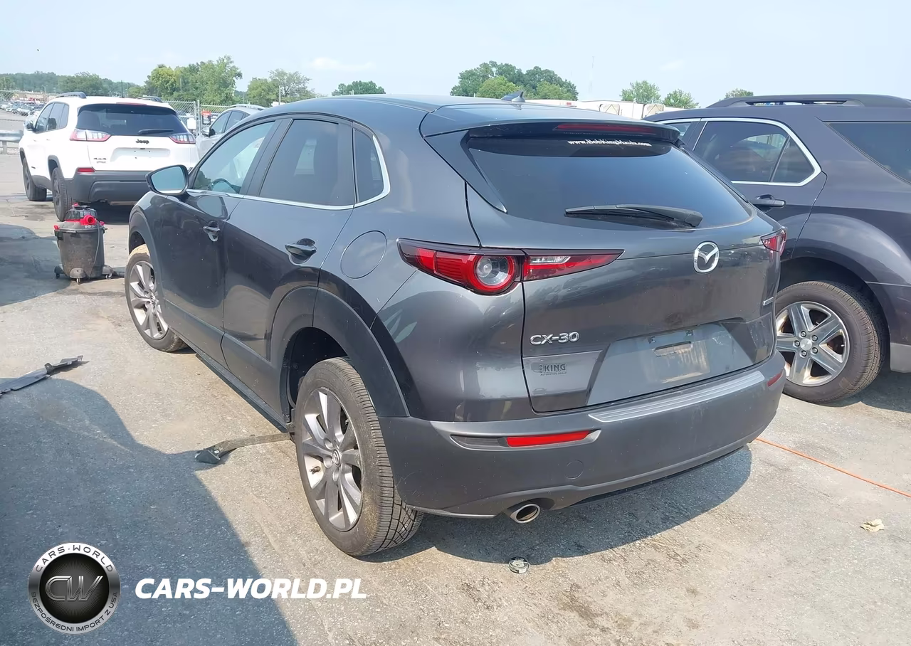 2020 Mazda Cx-30 Preferred Package VIN:3MVDMADL2LM136789 - 3