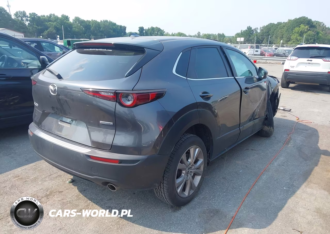 2020 Mazda Cx-30 Preferred Package VIN:3MVDMADL2LM136789 - 4